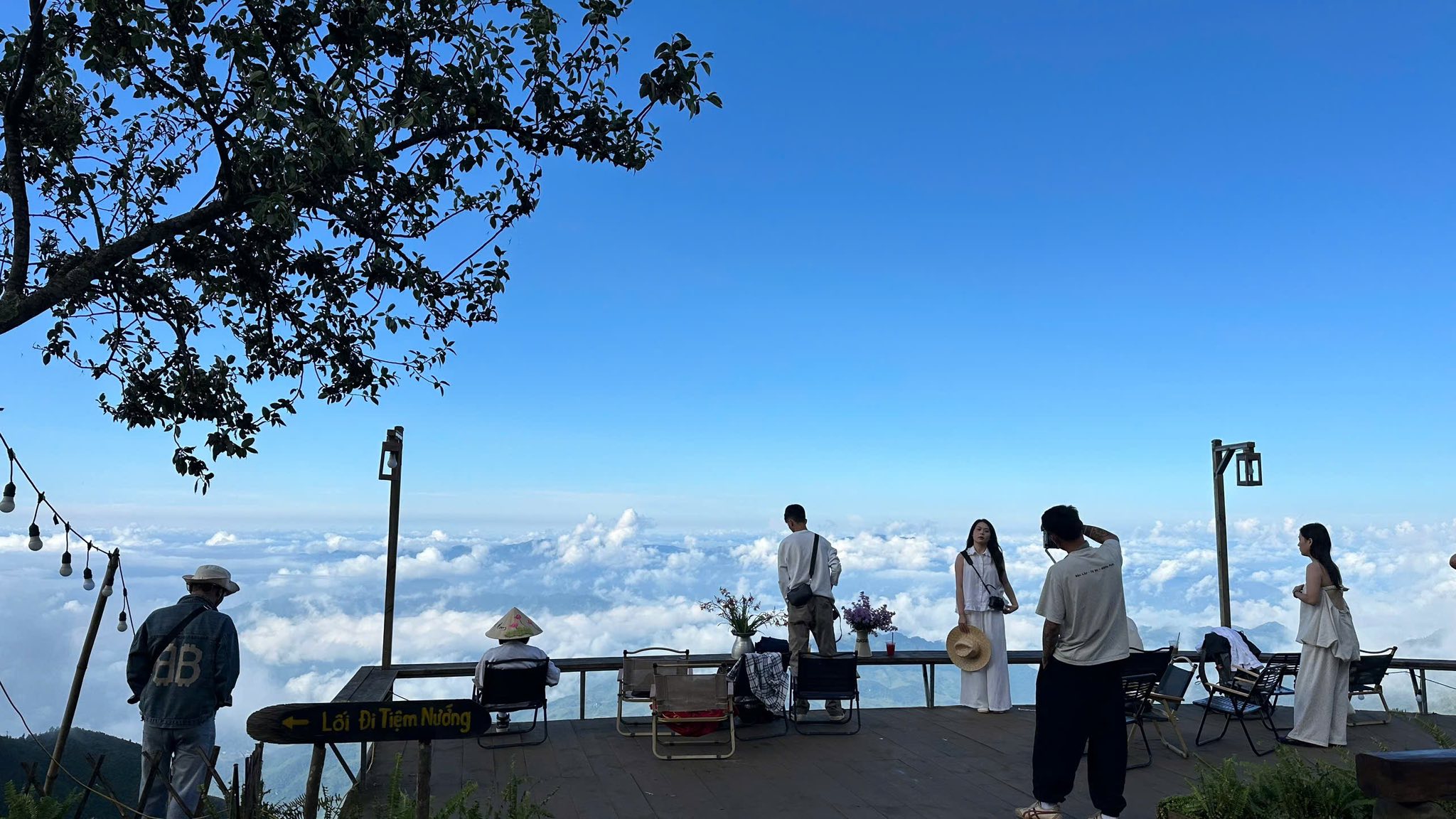 Khuôn viên tại Homestay