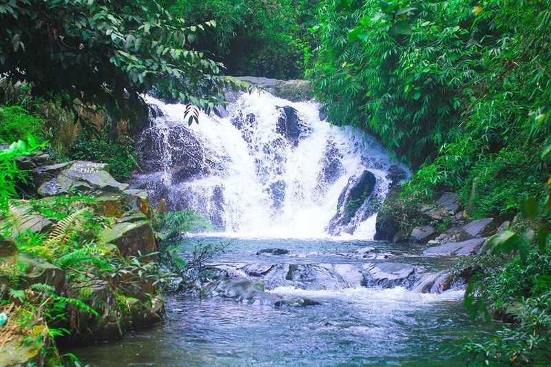 Suối Tiên, Phú Thọ